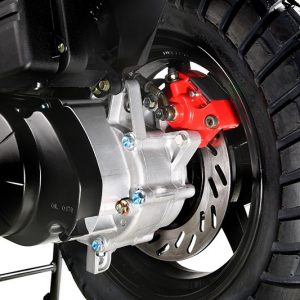Rear Disc